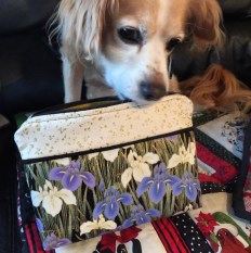 2015-12-15 16.43.07-1