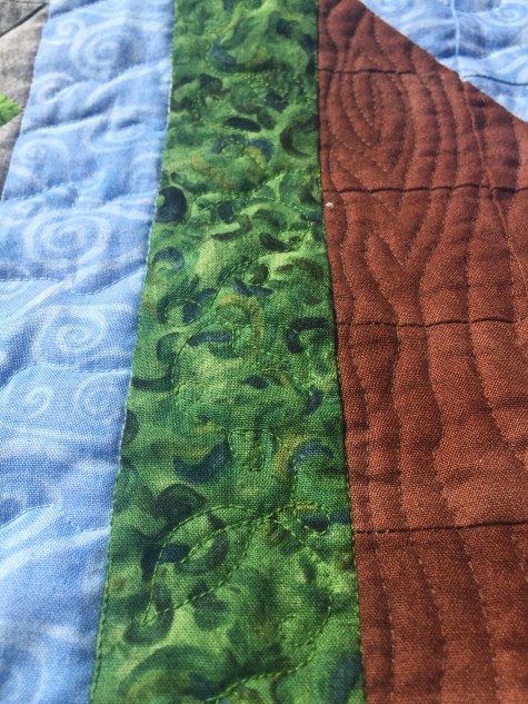 Koala Vine Close-UpApr 18, 2016